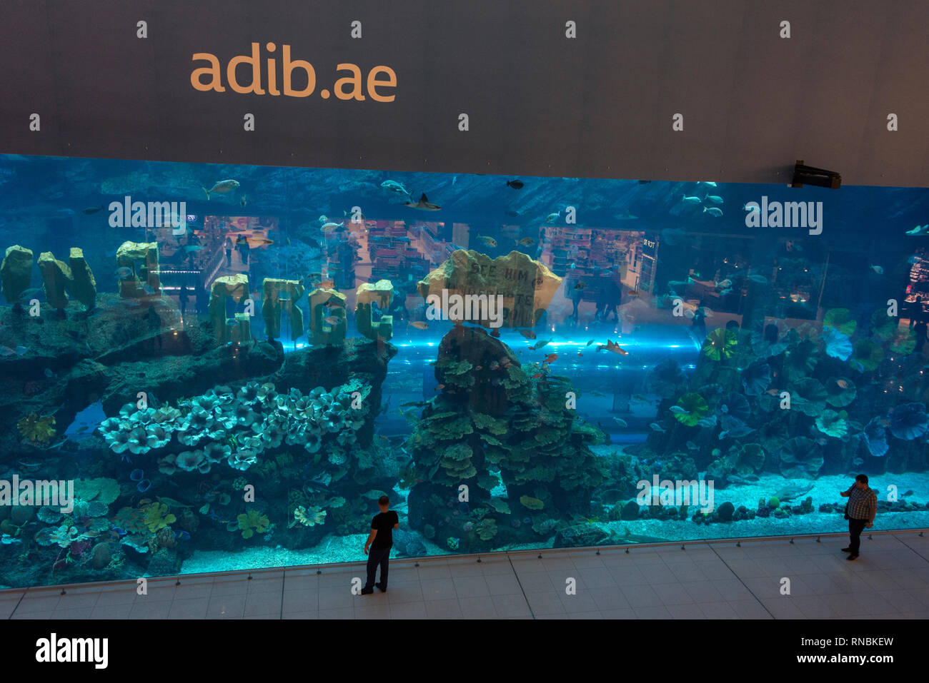Alarge variety of tropical fish in the giant aquarium inside the Dubai