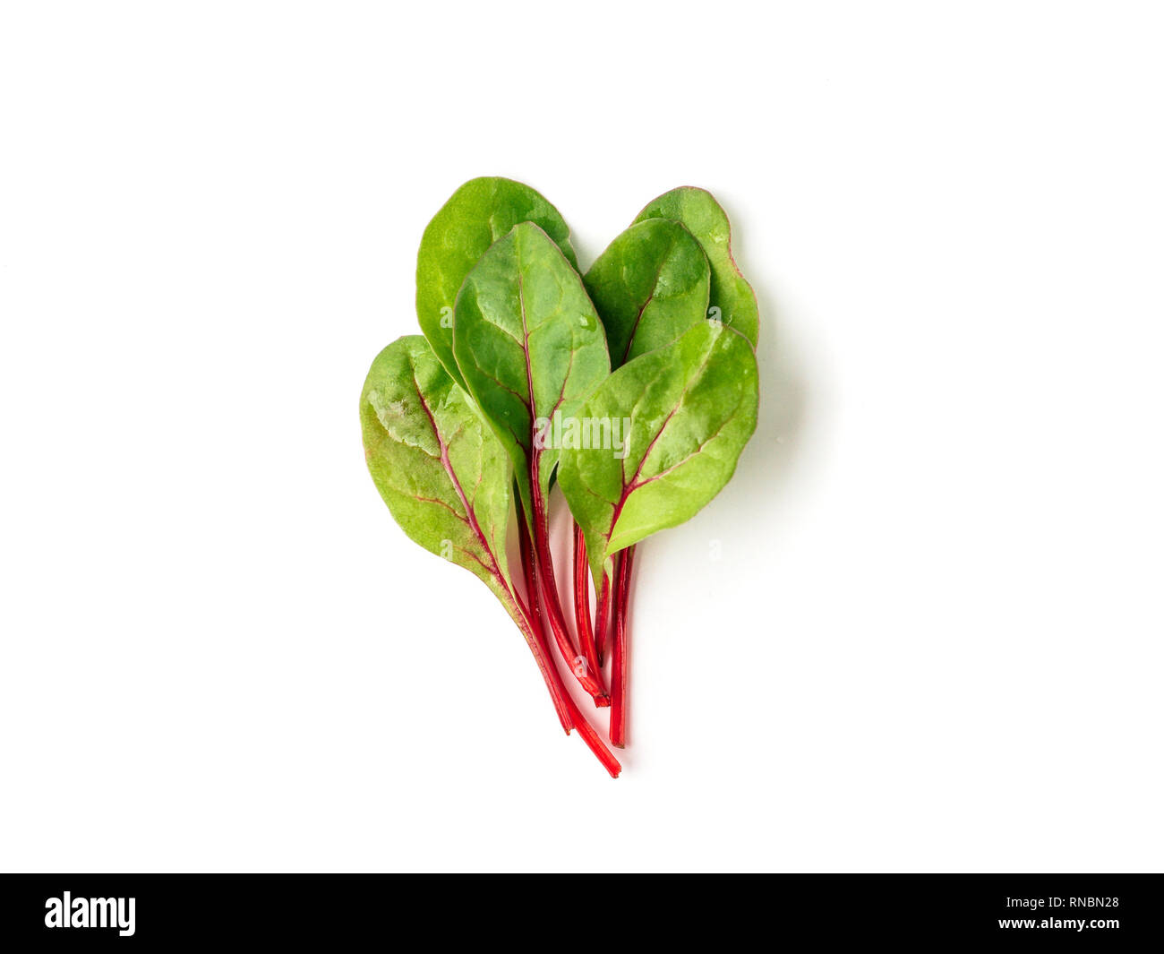 Bunch of fresh green chard leaves or mangold salad leaves on white