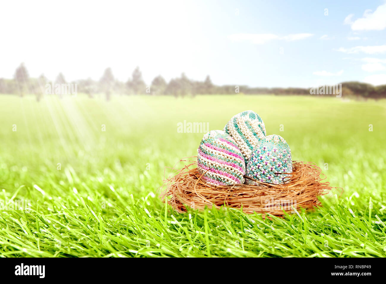 Colorful easter eggs in the nest on grass field with trees and blue sky ...
