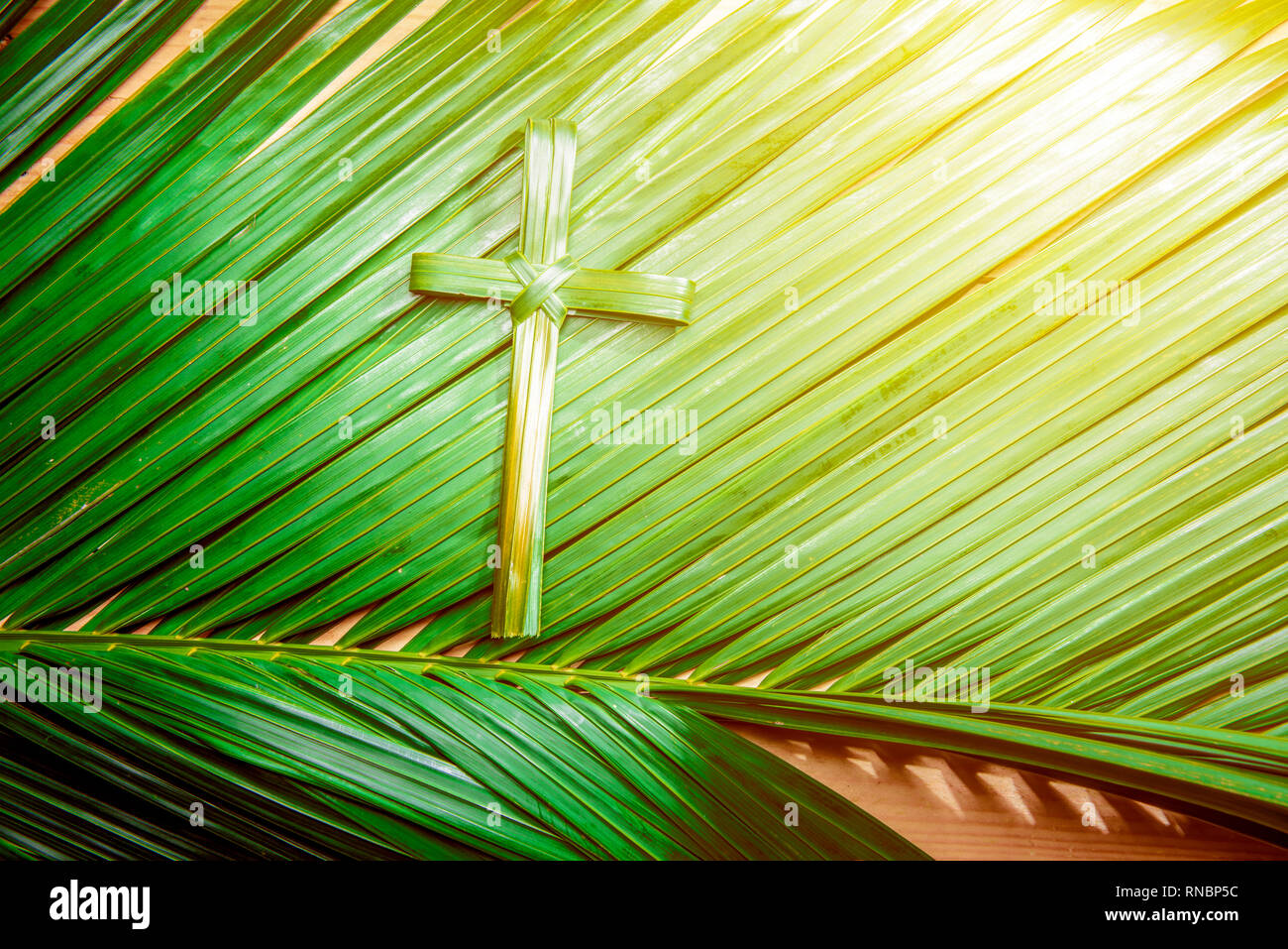 Cross Shape Of Palm Leaf On Palm Branches With Ray In Wooden Background