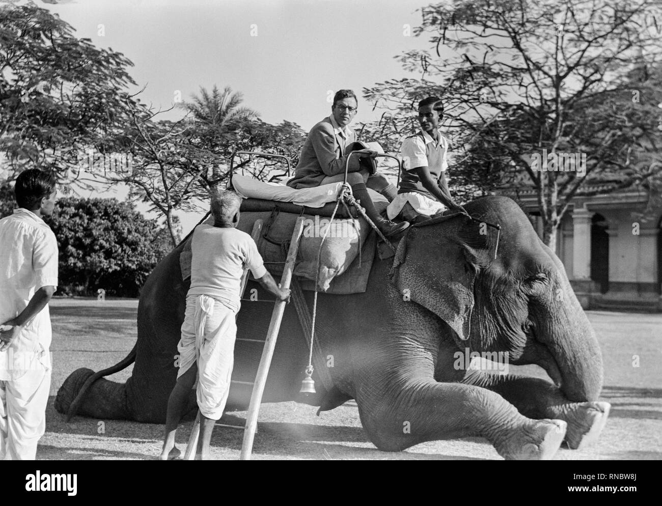 1930s black and white photograph showing a white European man getting on to an Elephant for a ride. Photograph taken in India. Stock Photo