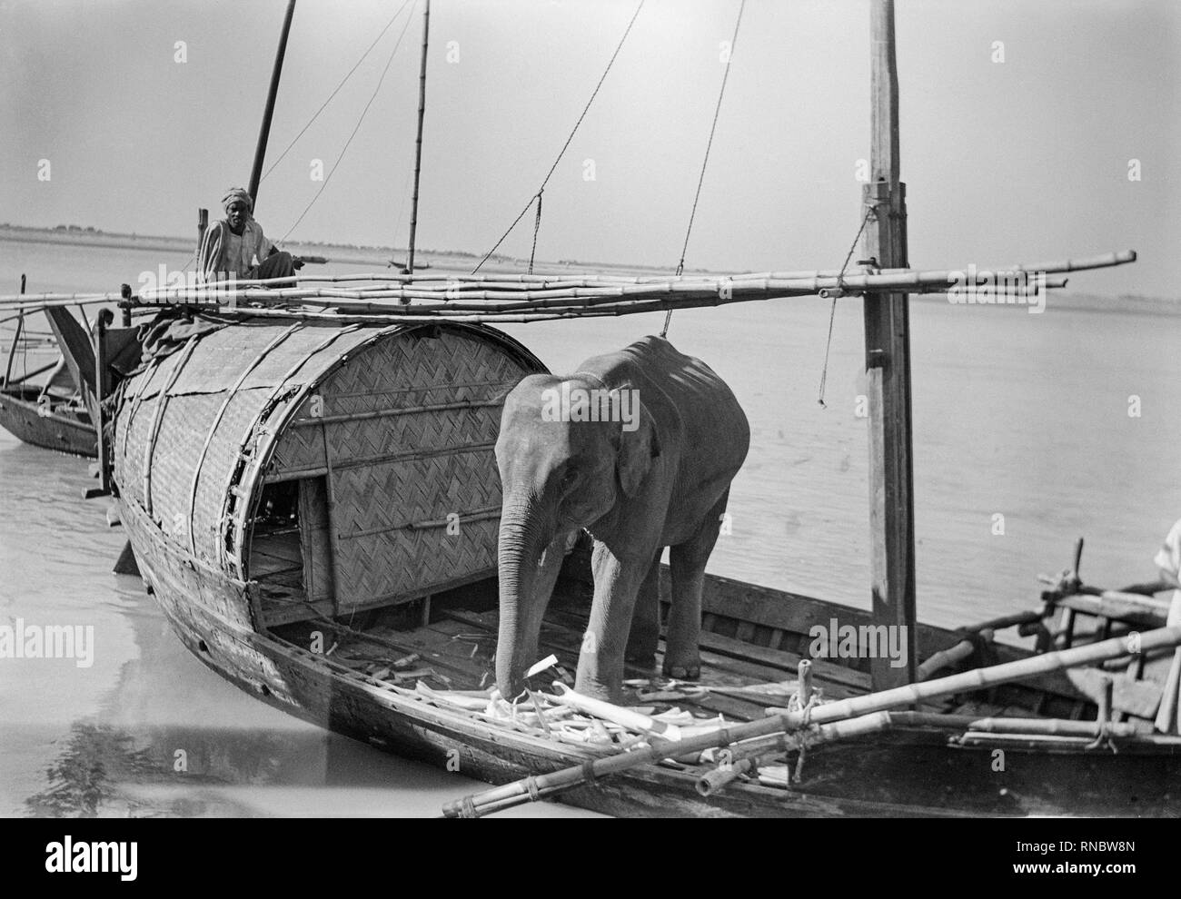 Early twentieth century black and white photograph showing a baby