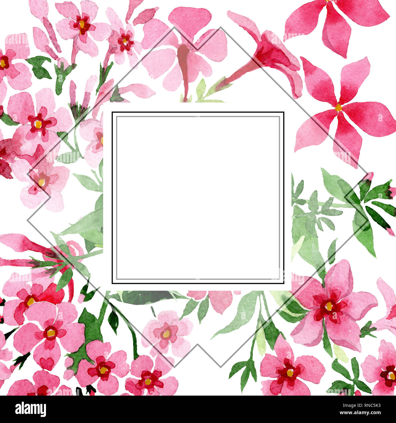 Pink phlox foral botanical flower. Watercolor background illustration set. Frame border ornament square. Stock Photo