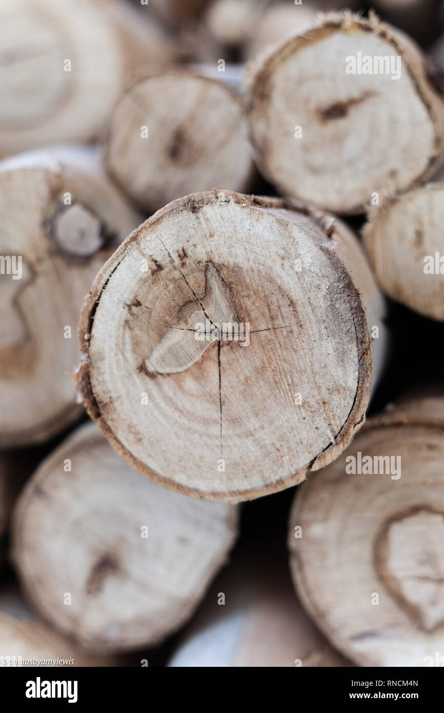 Pile of logs for fireplace Stock Photo