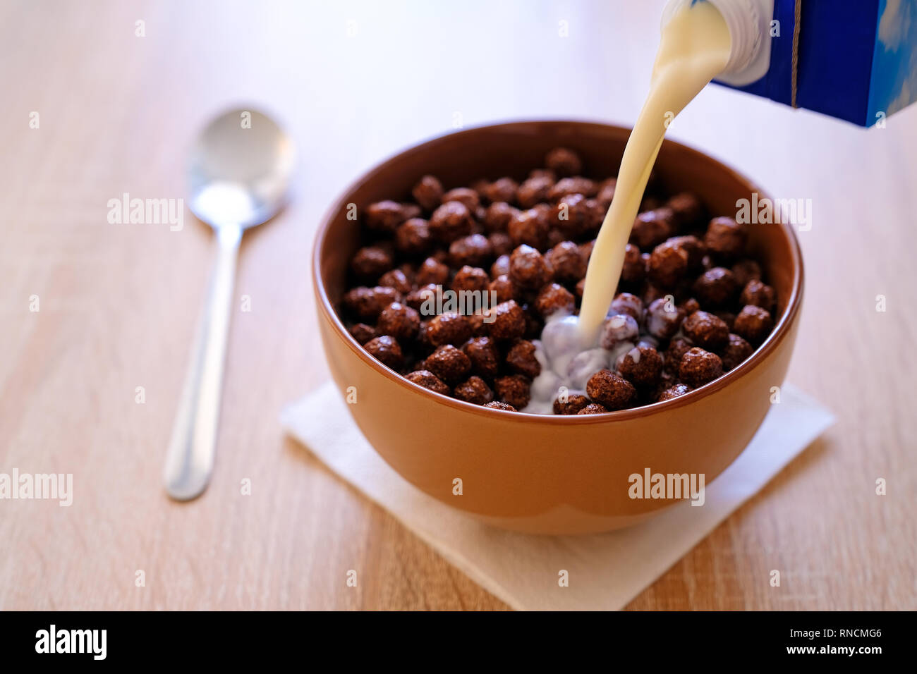 chocolate corn balls in milk for Breakfast. Pouring milk with splashes