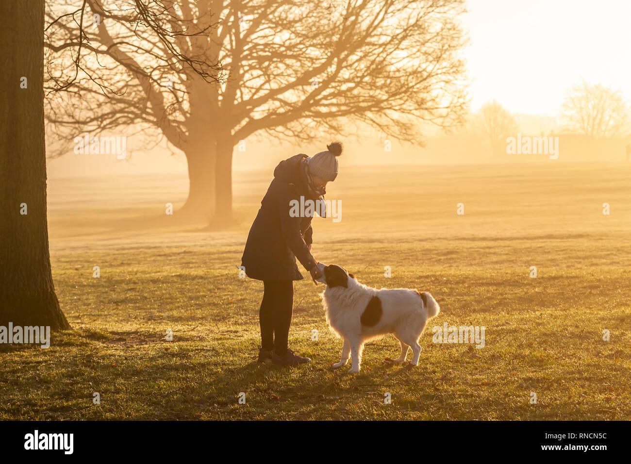 A cold, frosty and sunny start to the day with lovely golden light in Abington Park Northampton. Stock Photo