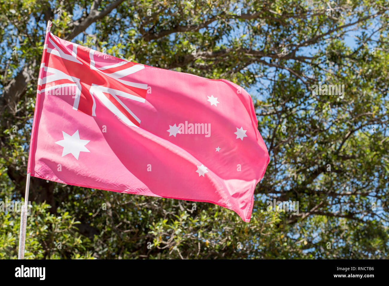 Sydney, Australia. 17th Feb 2019, a pink coloured Australian flag flies high at the Gay & Lesbian Mardi Gras Fair Day in Victoria Park. Stock Photo