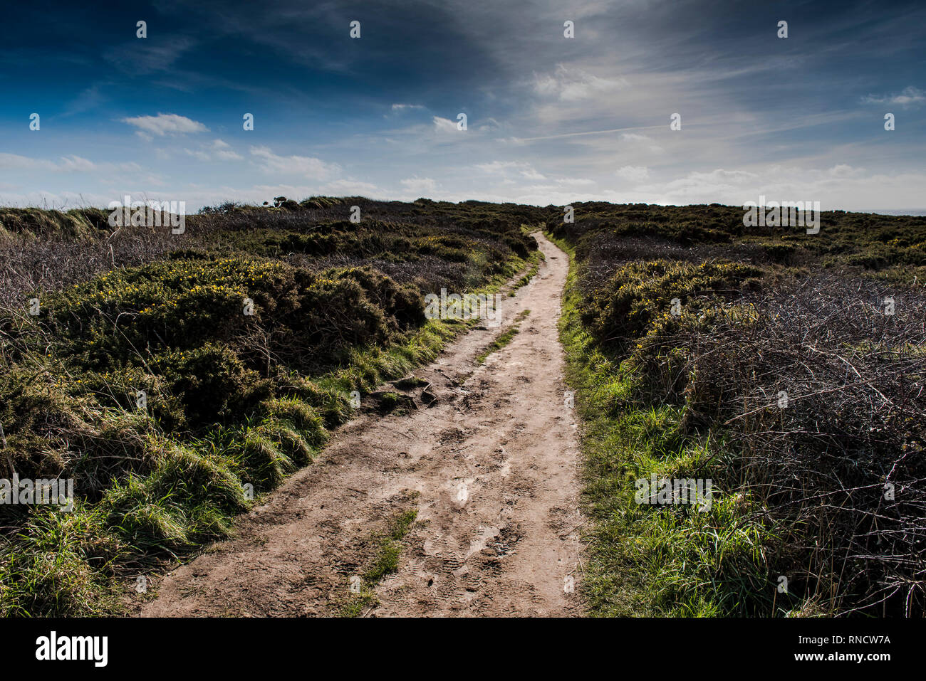 The South West Coast Path on the North Cornwall coast. Stock Photo