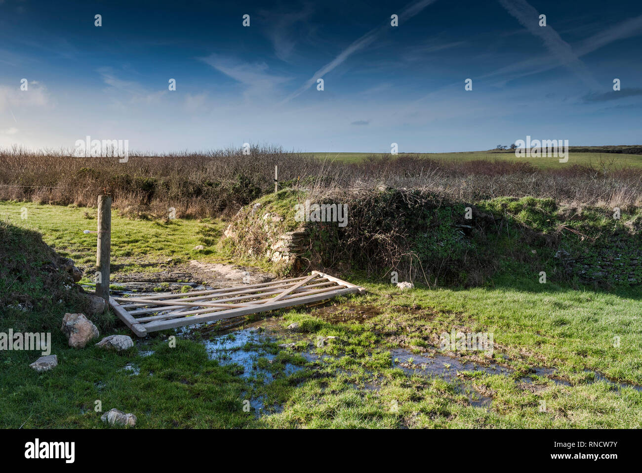A five bar wooden gate fallen on the ground in a field. Stock Photo
