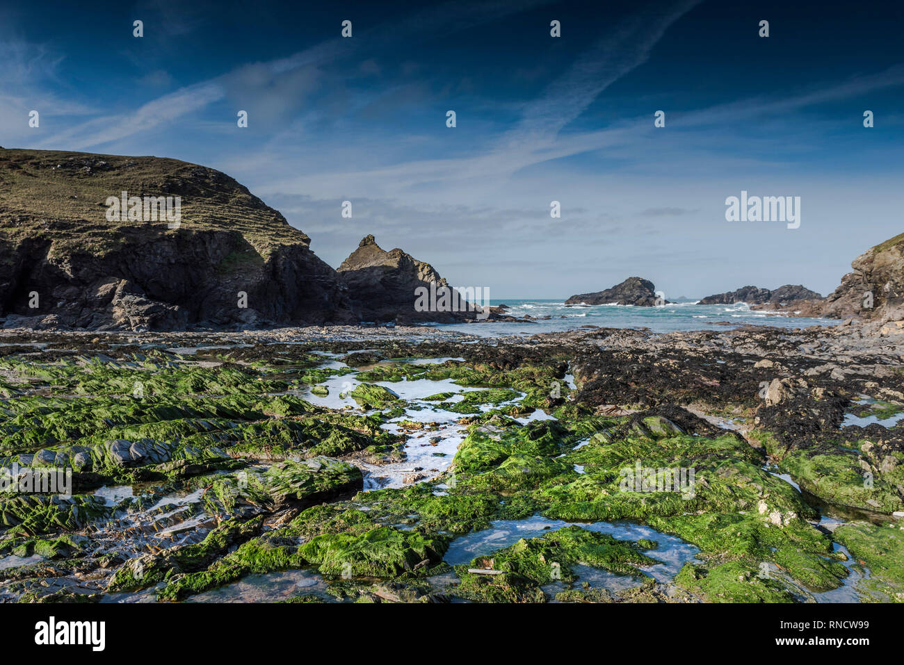 Trescore Islands at the secluded Porth Mear Cove on the North Cornwall coast. Stock Photo