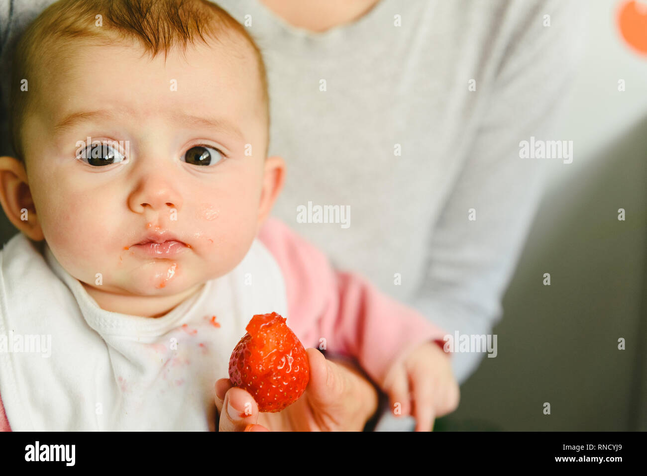 Baby starting by tasting a strawberry using the Baby led weaning BLW method. Stock Photo