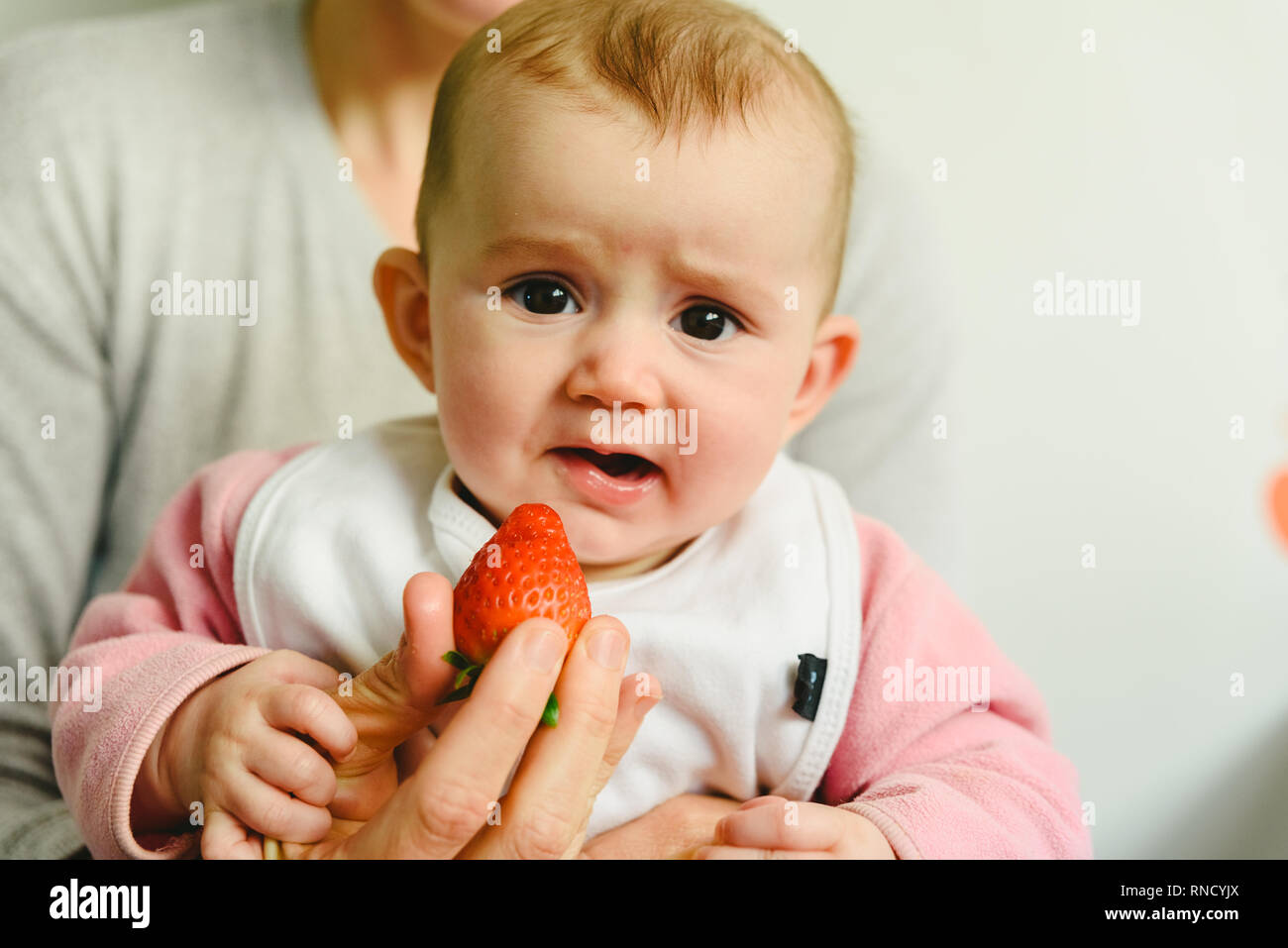 Baby starting by tasting a strawberry using the Baby led weaning BLW method. Stock Photo