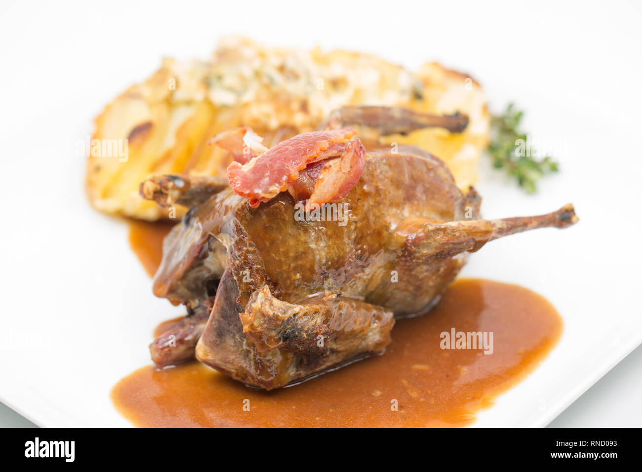 A woodpigeon that has been roasted with streaky bacon and served with