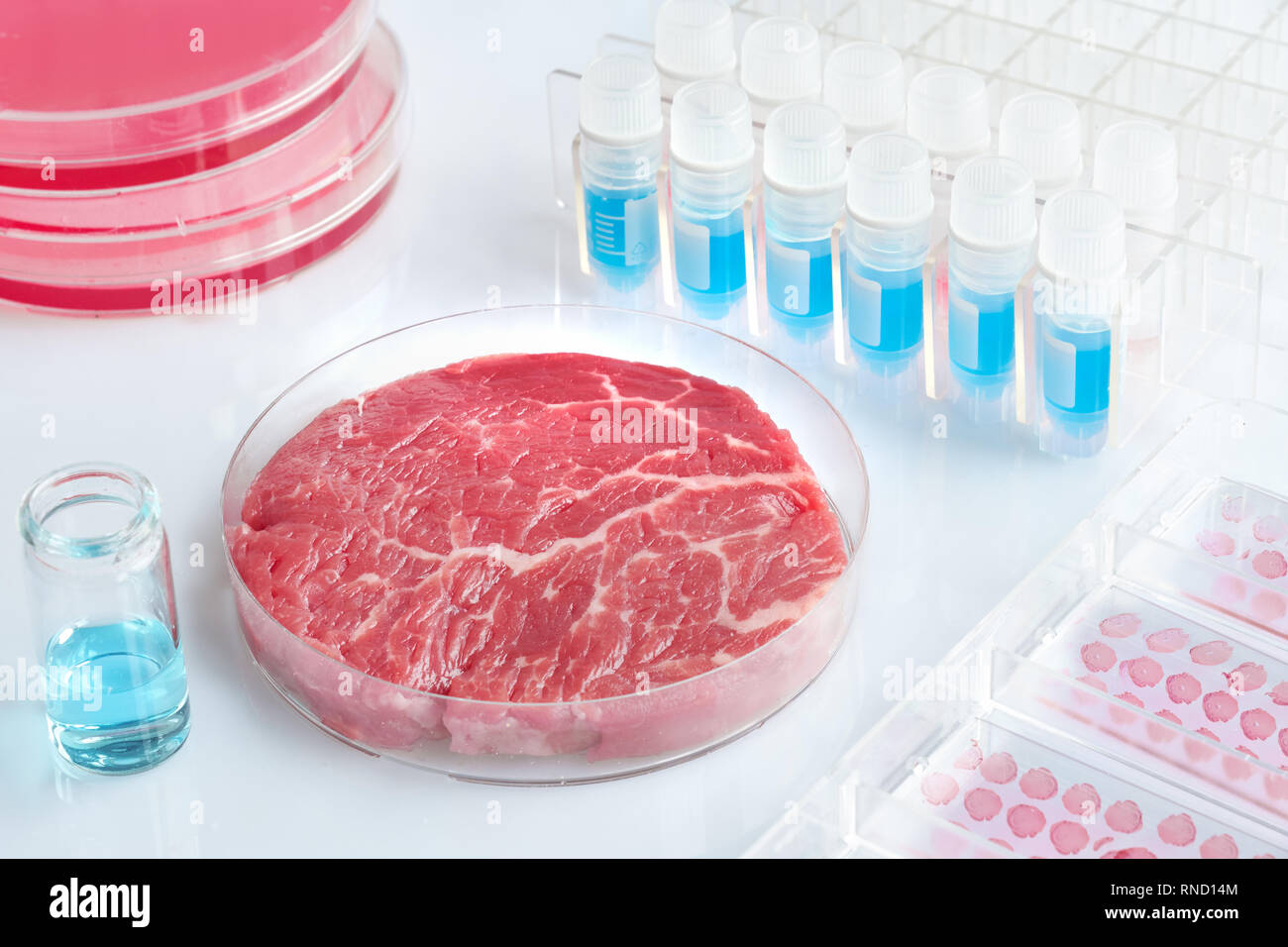 Meat sample in open disposable plastic cell culture dish in modern ...
