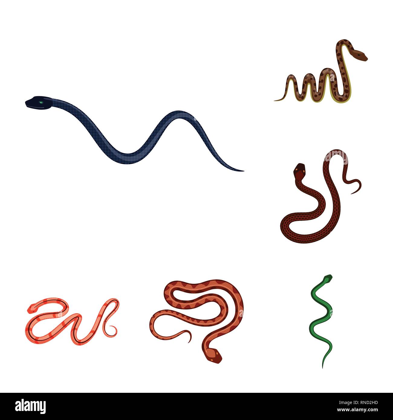 snake,viper,tail,python,spiral,jungle,forest,large,brazil,seamless ...