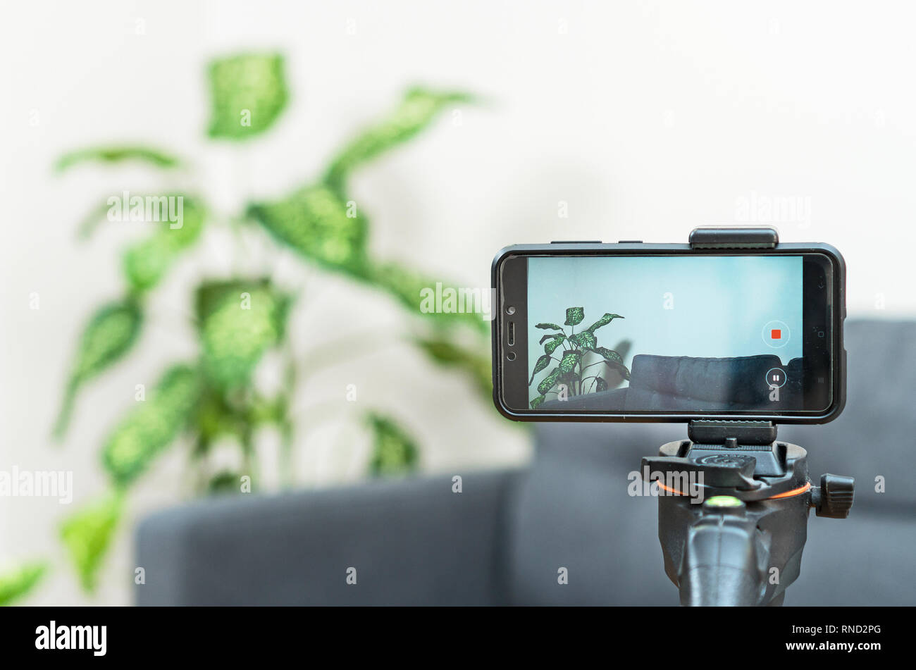 car vlogging mount