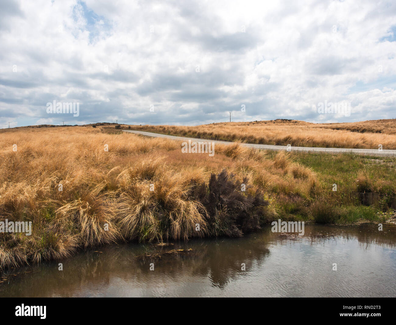 Pond next to unsealed gravel road , tussock country on Ngamatea Station,  Inland Mokai Patea, Central North Island, New Zealand Stock Photo