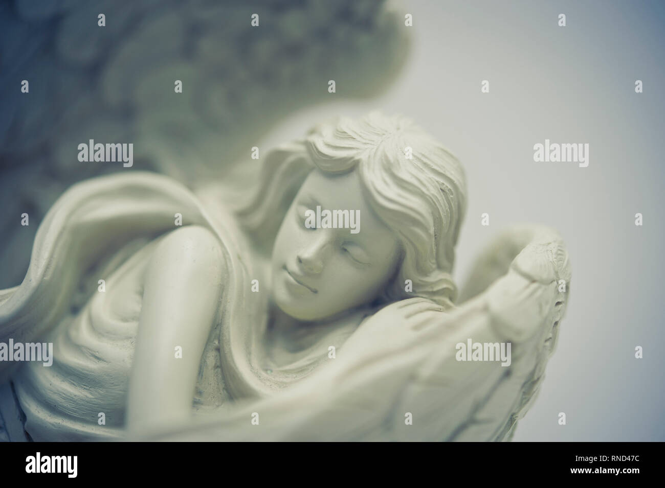 statue of a sleeping angel Stock Photo Alamy