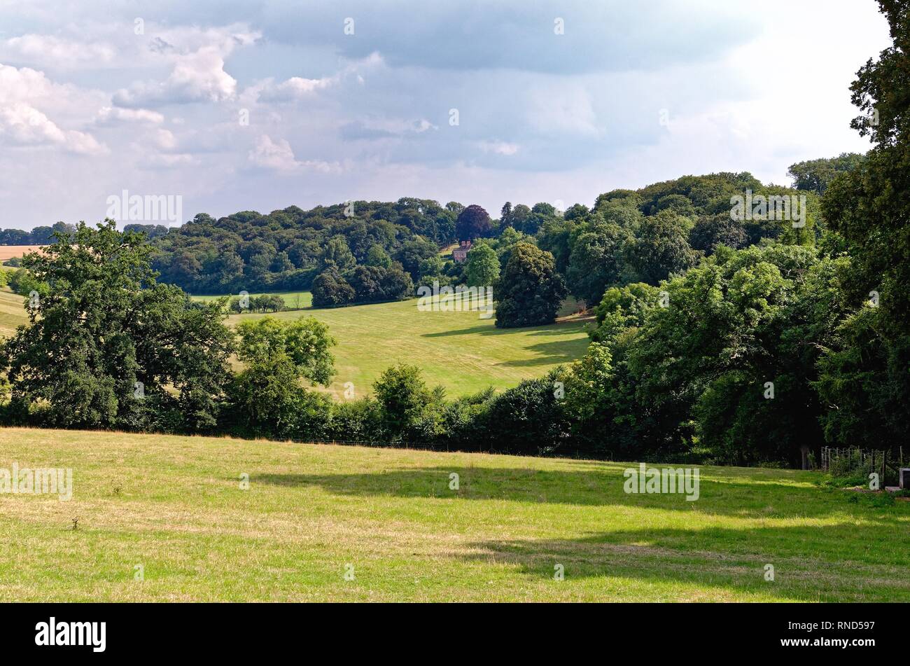 The Chiltern Hills in high summer near Henley on Thames Oxfordshire England UK Stock Photo