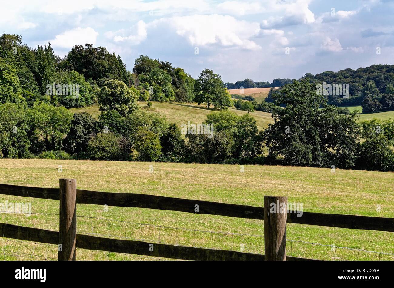 The Chiltern Hills in high summer near Henley on Thames Oxfordshire England UK Stock Photo