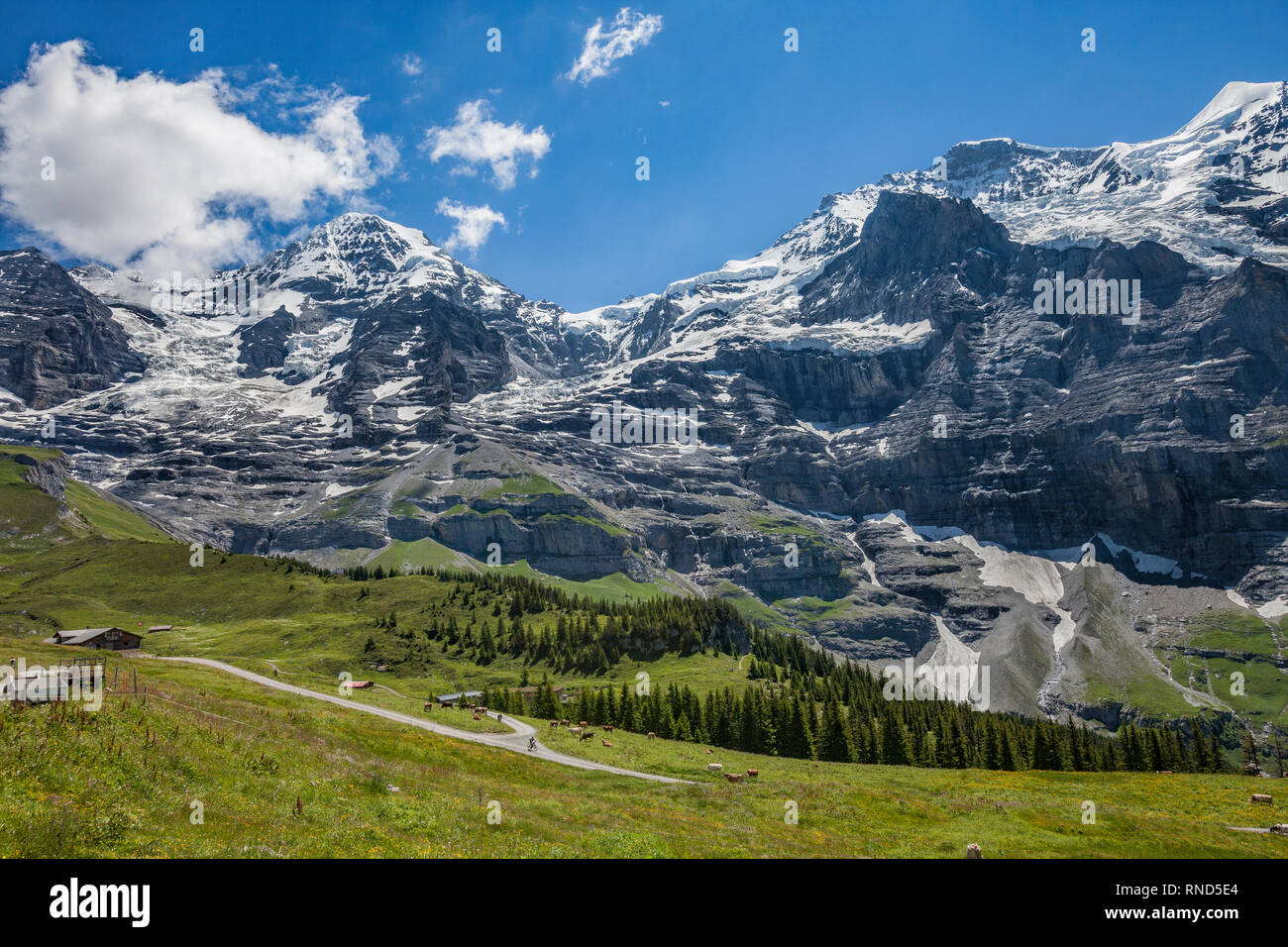 nice and ever young senior woman riding her e-mountainbike below the Eiger northface, Jungfrauregion, Switzerland Stock Photo
