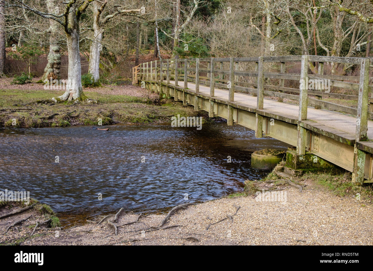 New Forest, Puttles Bridge, Ober Water, Rhinefield Walk, Brockenhurst, UK. Stock Photo