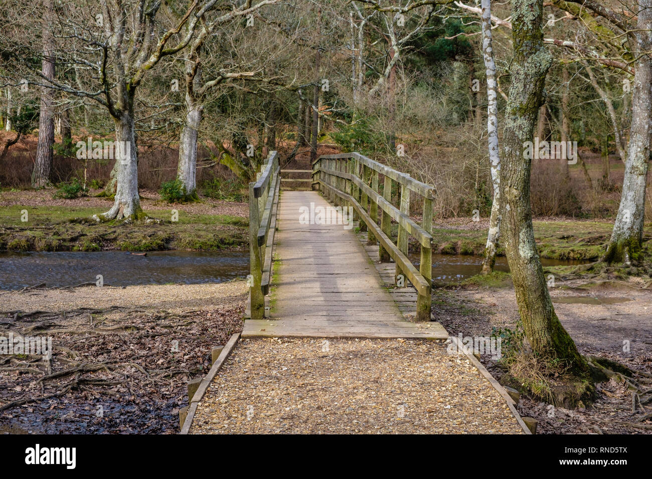 New Forest, Puttles Bridge, Ober Water, Rhinefield Walk, Brockenhurst, UK. Stock Photo