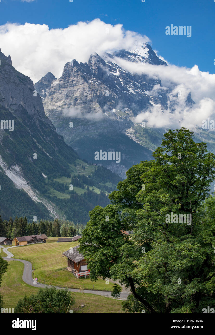 nice and ever young senior woman riding her e-mountainbike below the Eiger northface, Jungfrauregion, Stock Photo