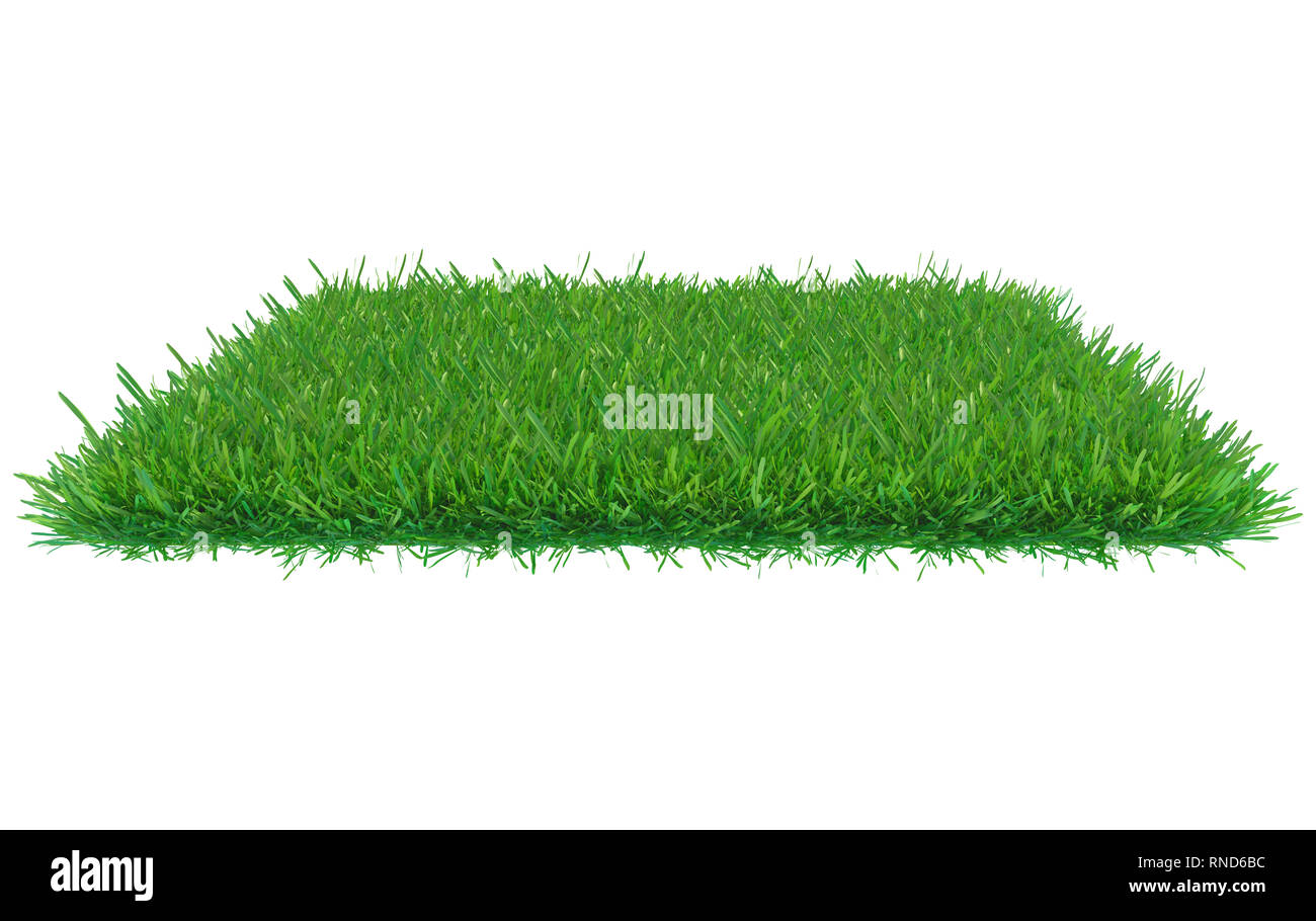 3d rendering of a green grass patch isolated on white background for architecture design or other use Stock Photo