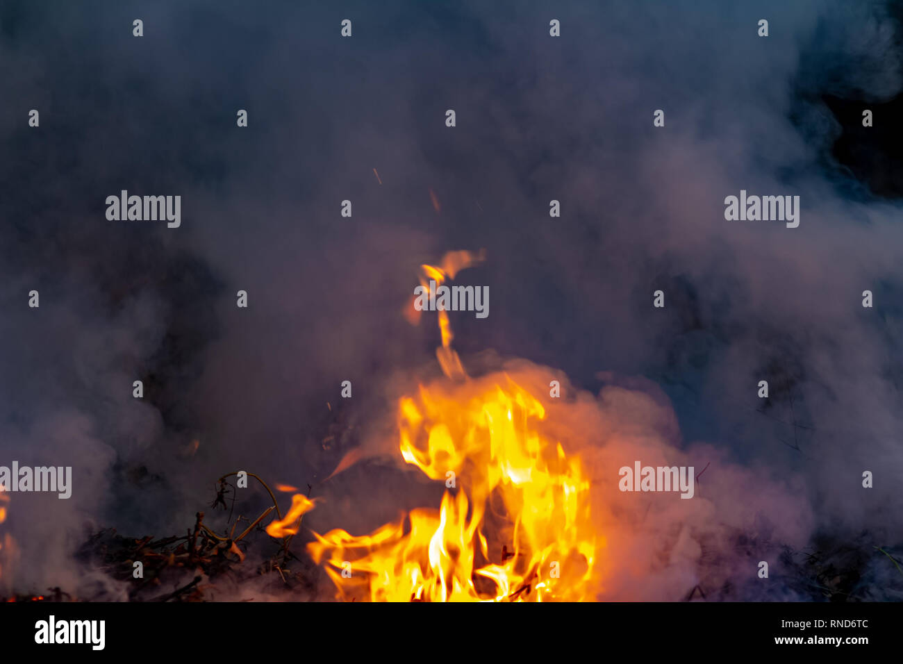 Forest wildfire at night whole area covered by flame and clouds of dark