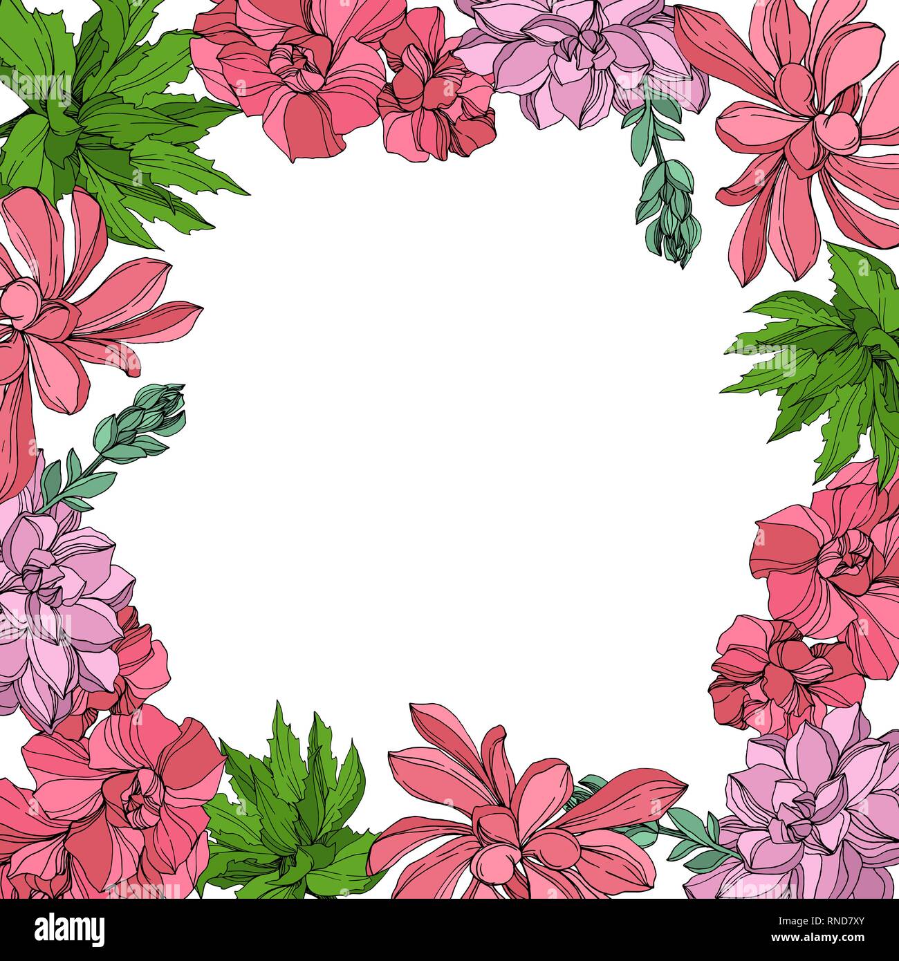 Vector Jungle botanical succulent flower. Engraved ink art illustration.  Frame border ornament square Stock Vector Image \u0026 Art - Alamy, image size:1300x1390