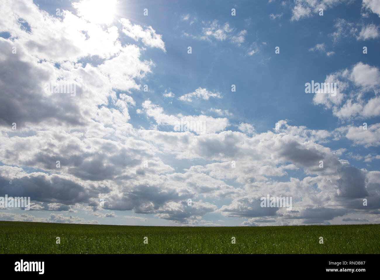 Blue sky with clouds and green lush grass Stock Photo - Alamy