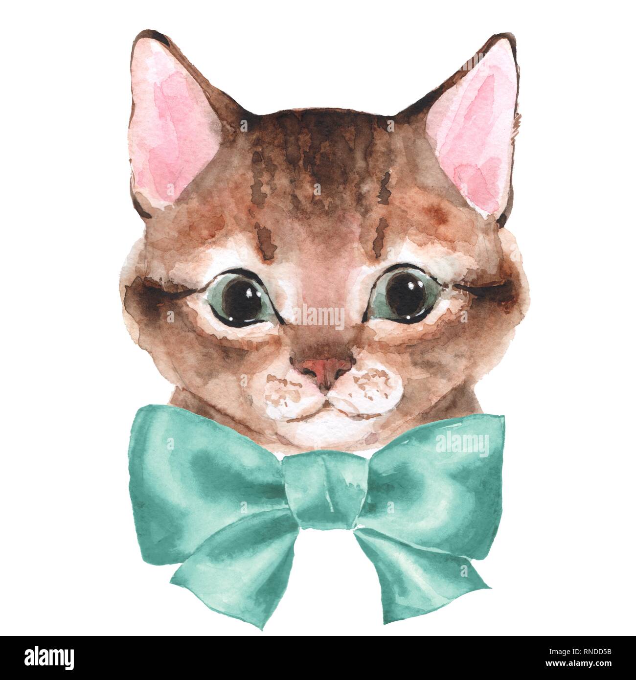 Cute cat. Watercolor illustration Stock Photo