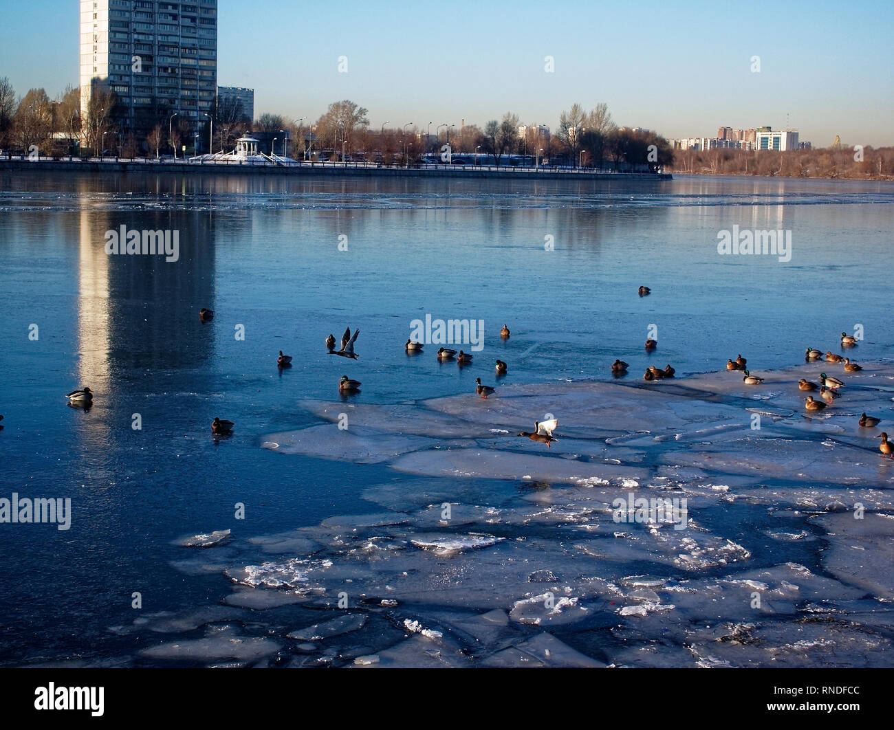 Park on the embankment of the Moscow river in winter, district printers Stock Photo