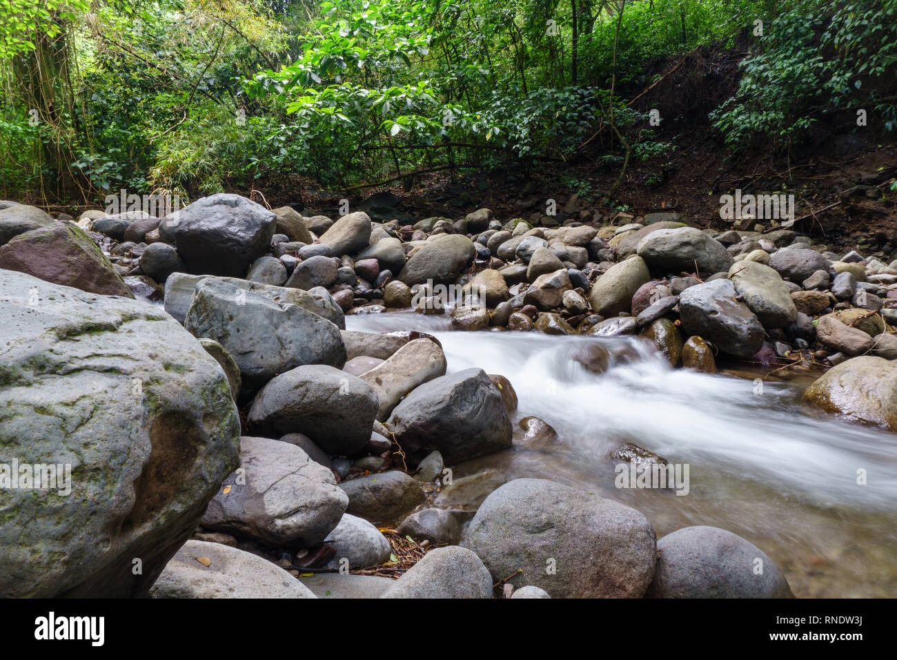 Martinique island river Stock Photo - Alamy