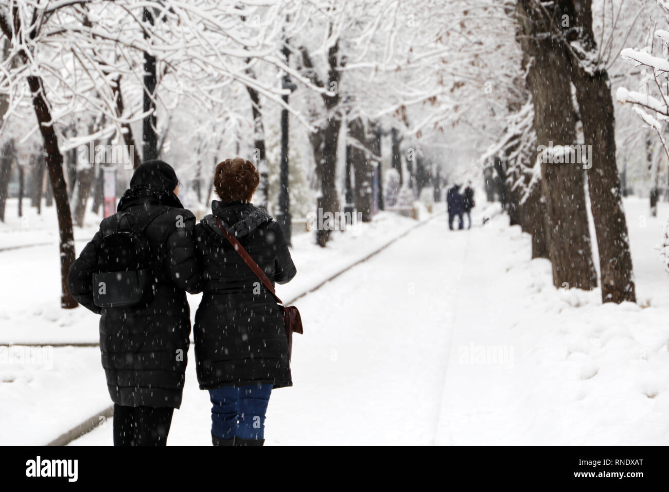 Snowy weather, people during a snowfall in city. Two women walking in winter park along the white alley, scenic landscape Stock Photo