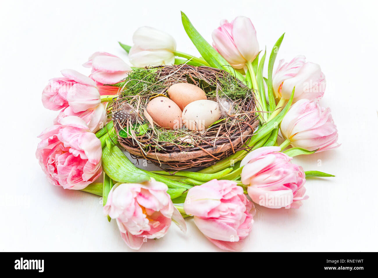Spring greeting card. Easter eggs in nest and pink fresh tulip flowers ...