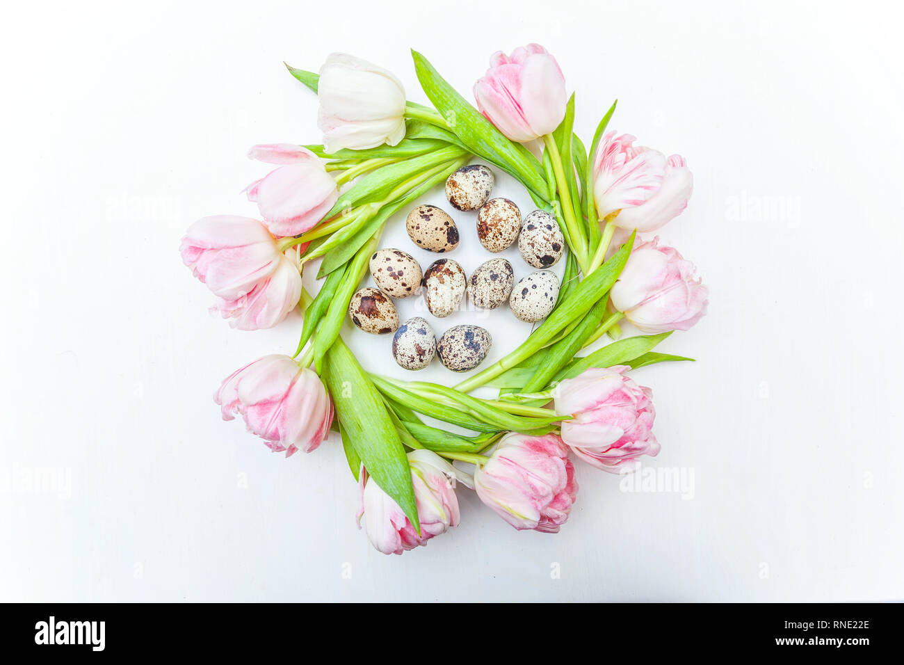 Spring greeting card. Easter eggs in nest and pink fresh tulip flowers ...