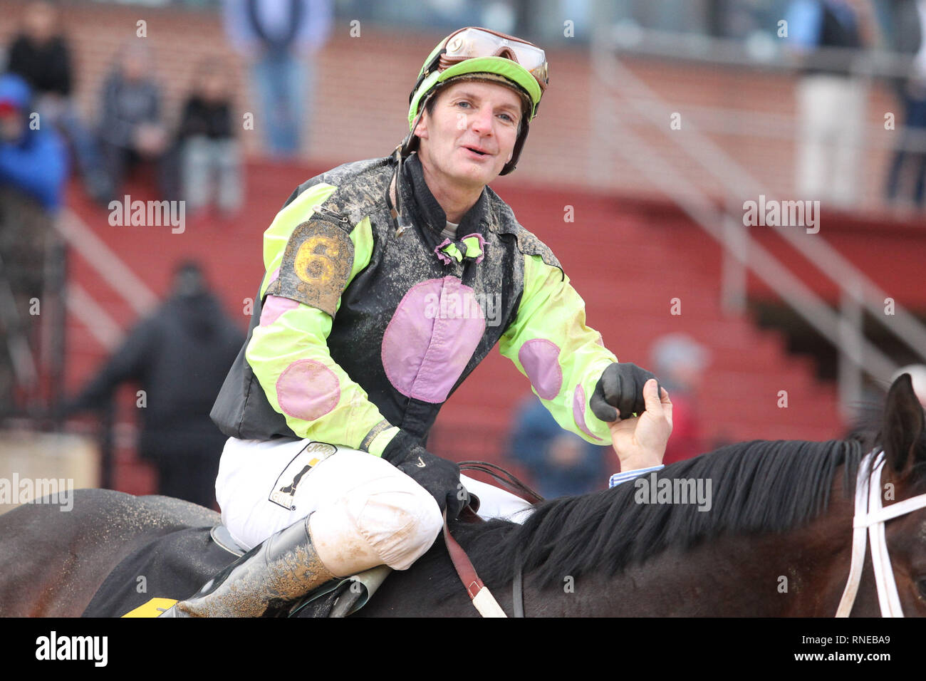 Hot Spring, AR, USA. 18th Feb, 2019. Feburary 18, 2019: Winning jockey Terry Thompson aboard Super Steed (6) after winning the Southwest Stakes at Oaklawn Park in Hot Spring, AR on February 18, 2019. © Justin Manning/Eclipse Sportswire/CSM/Alamy Live News Stock Photo
