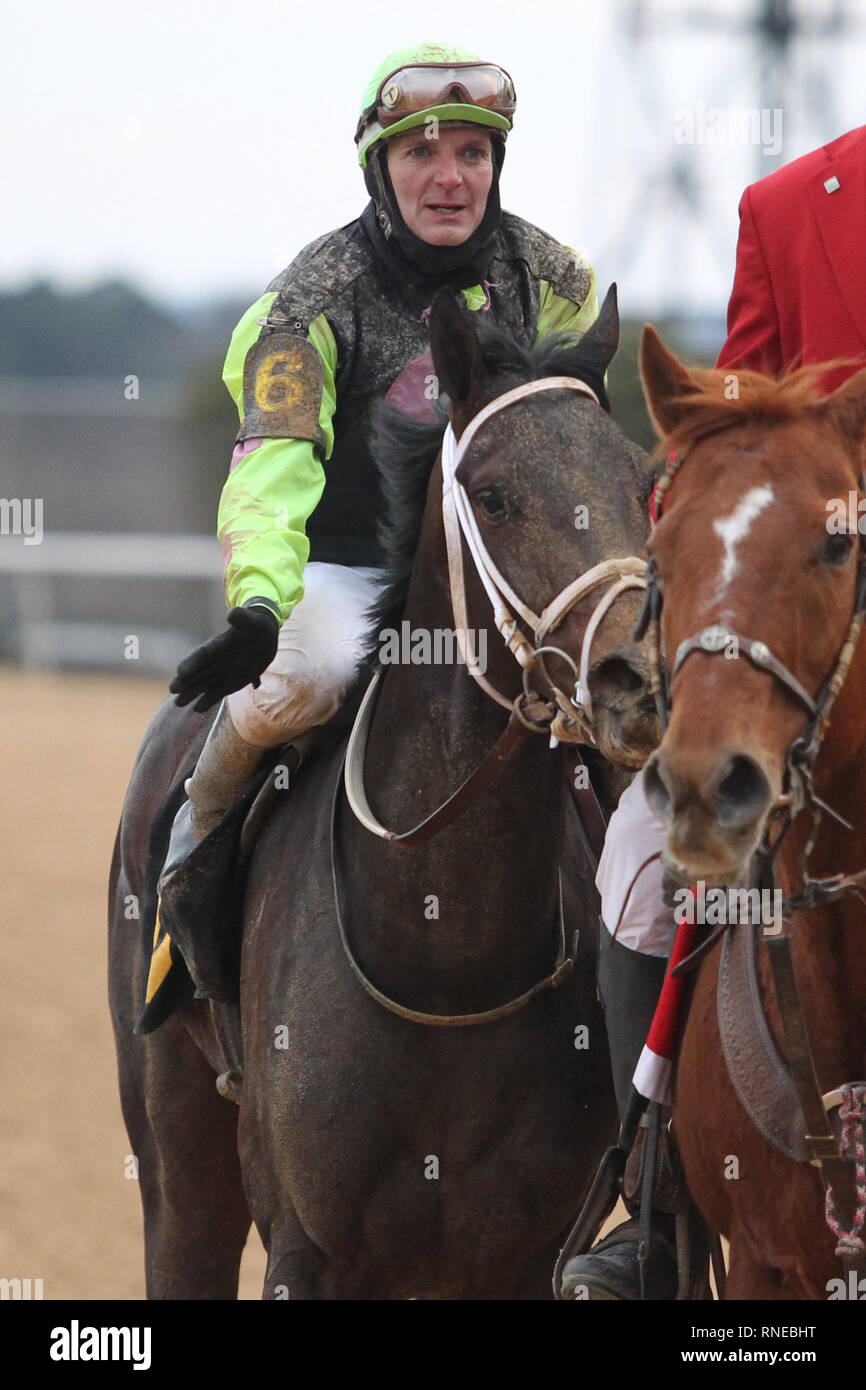 Hot Spring, AR, USA. 18th Feb, 2019. Feburary 18, 2019: Super Steed (6) with jockey Terry Thompson aboard after winning the Southwest Stakes at Oaklawn Park in Hot Spring, AR on February 18, 2019. © Justin Manning/Eclipse Sportswire/CSM/Alamy Live News Stock Photo