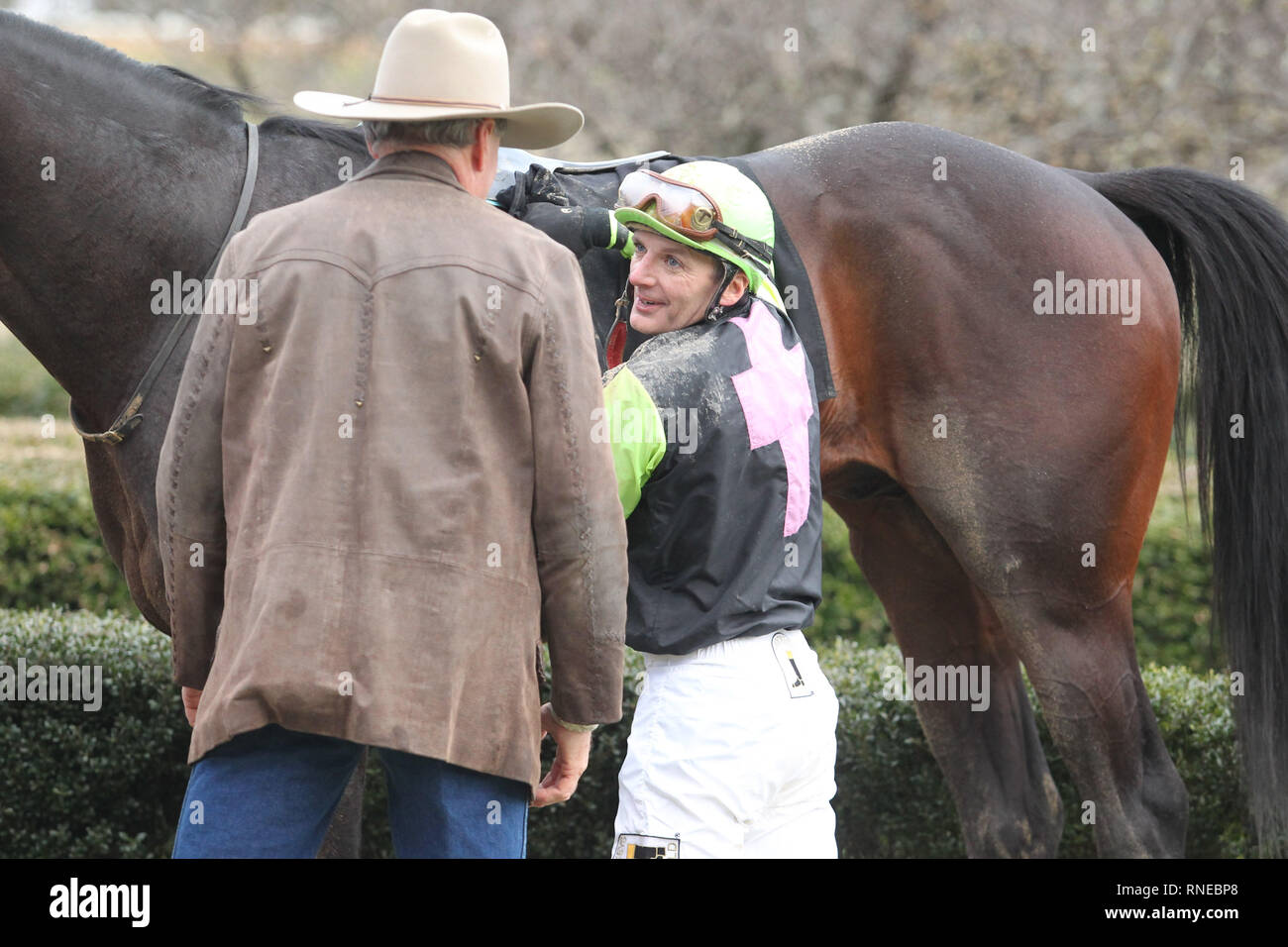 Hot Spring, AR, USA. 18th Feb, 2019. Feburary 18, 2019: Winning jockey Terry Thompson talking to trainer Larry Jones after winning the Southwest Stakes at Oaklawn Park in Hot Spring, AR on February 18, 2019. © Justin Manning/Eclipse Sportswire/CSM/Alamy Live News Stock Photo