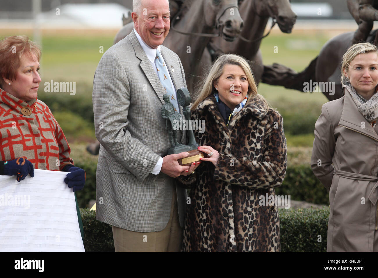 Handicap razorback hires stock photography and images Alamy