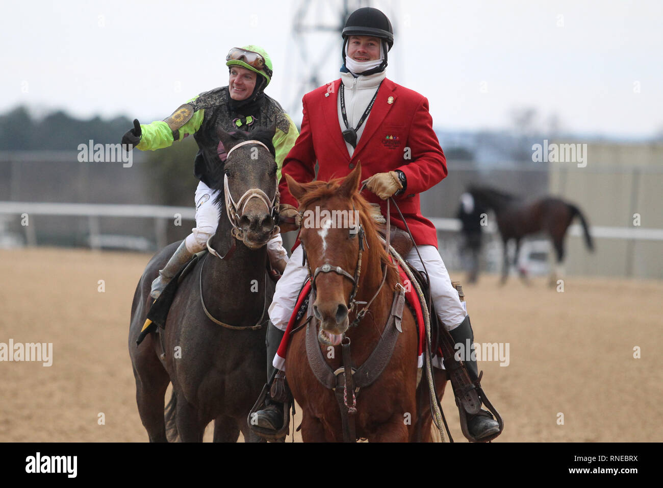 Hot Spring, AR, USA. 18th Feb, 2019. Feburary 18, 2019: Super Steed (6) with jockey Terry Thompson aboard after winning the Southwest Stakes at Oaklawn Park in Hot Spring, AR on February 18, 2019. © Justin Manning/Eclipse Sportswire/CSM/Alamy Live News Stock Photo
