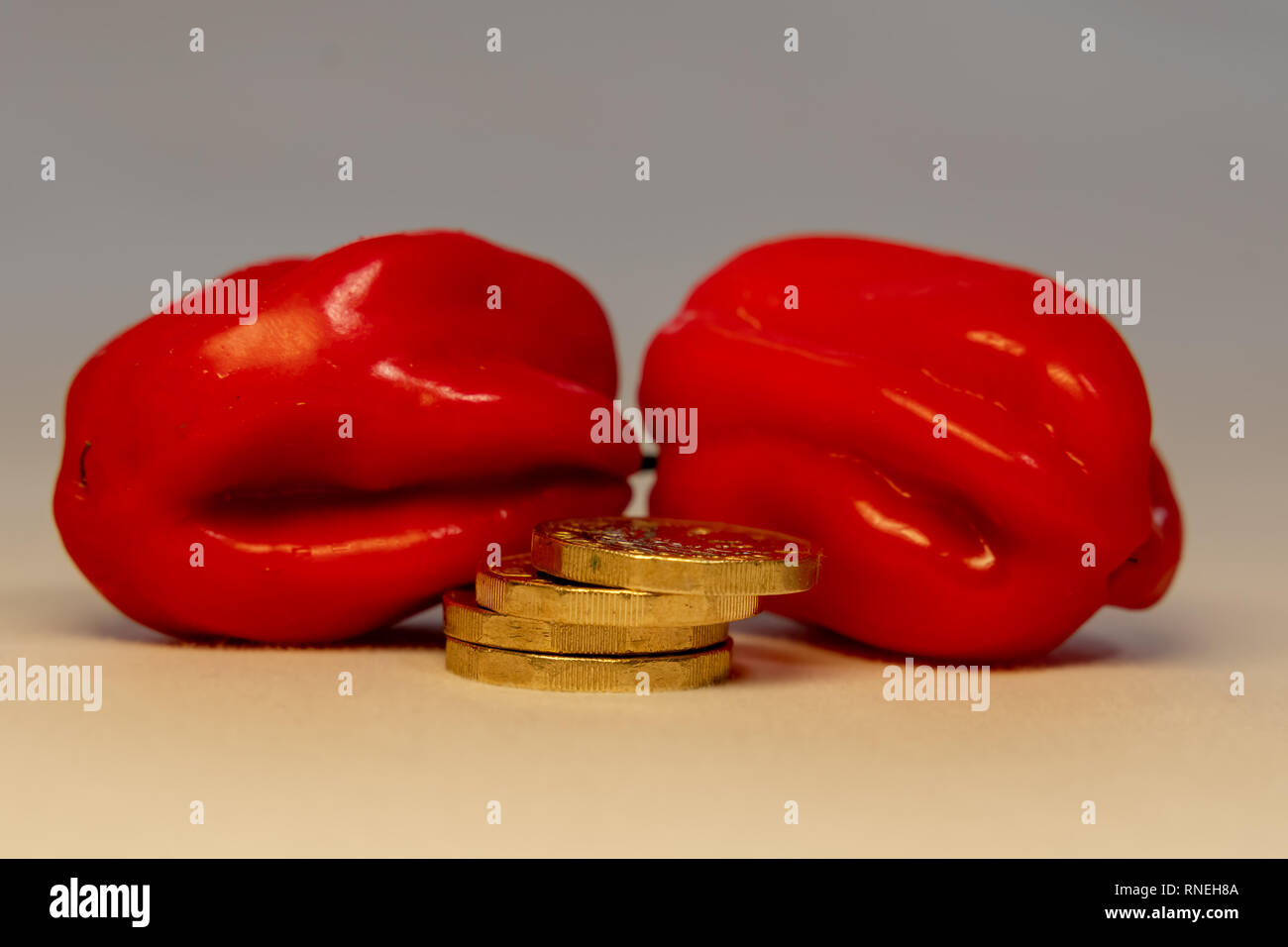 A stack of shining gold coins in front of the red hot Habanero peppers. Fast easy or hot money concept. Stock Photo