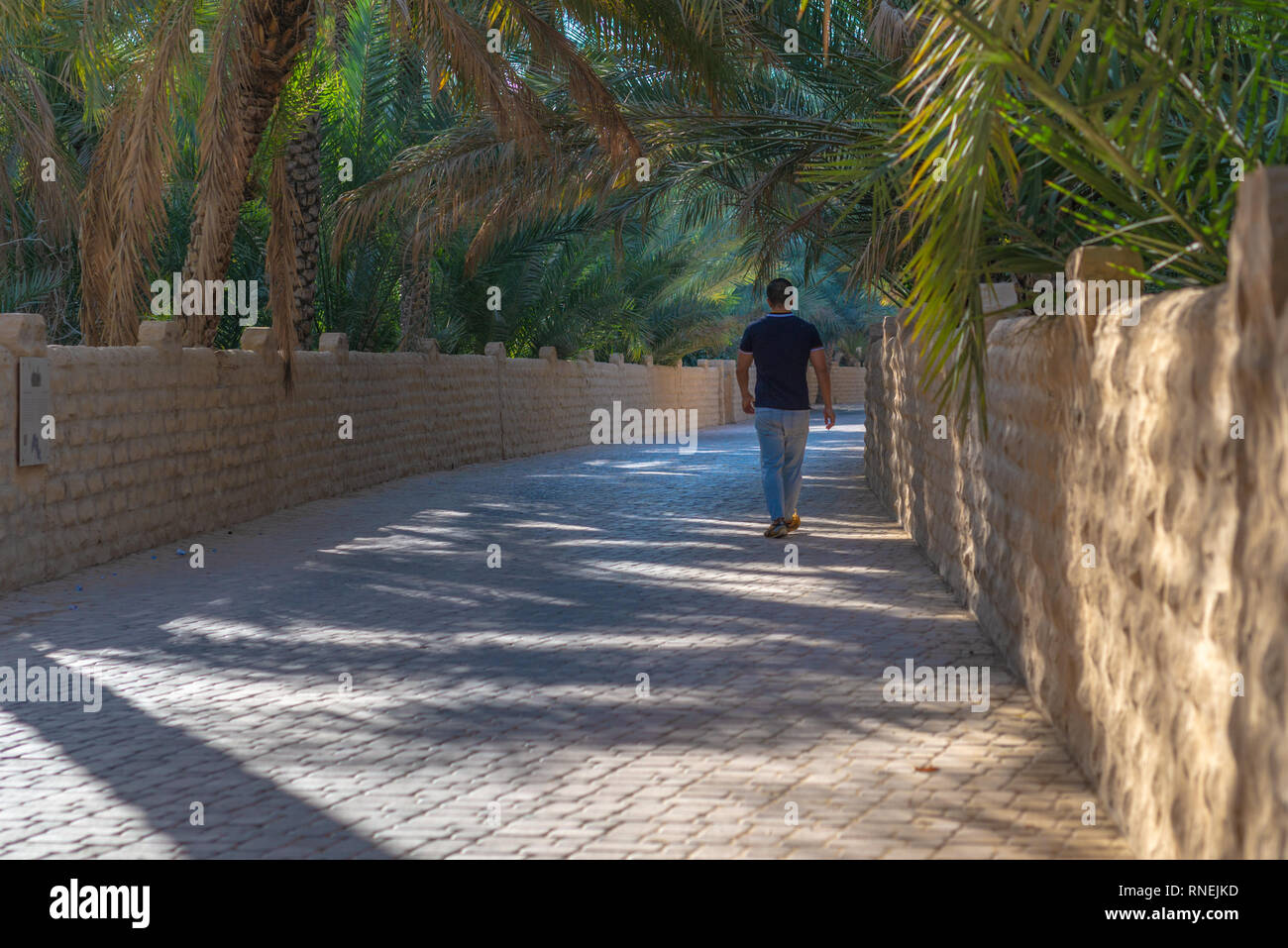 Lonely walker wlaking along a shaded alley in Al Ain Oasis, United Arab Emirates Stock Photo