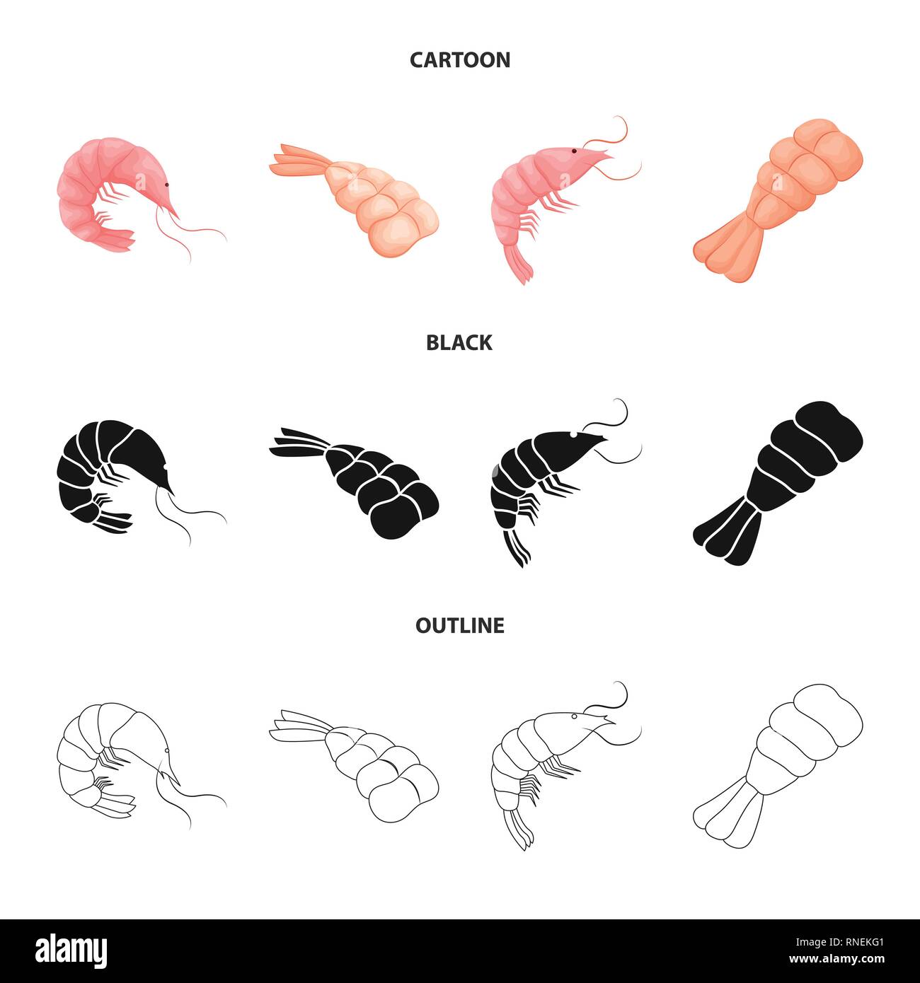 prawn,creature,raw,boiled,cooked,fresh,luxury,restaurant,underwater ...