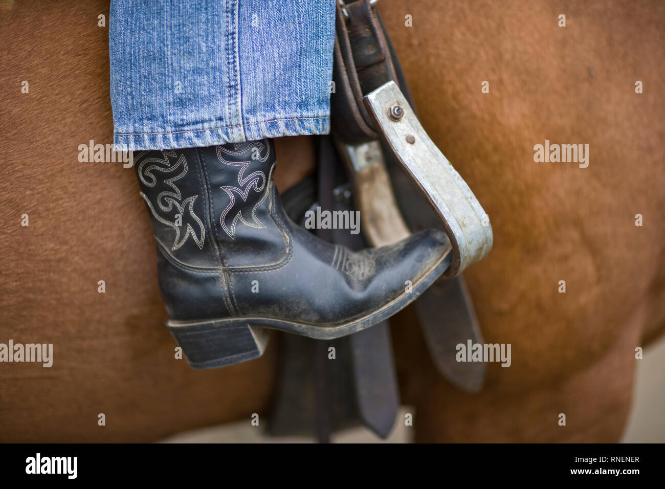 Cowboy boots in stirrups hires stock photography and images Alamy