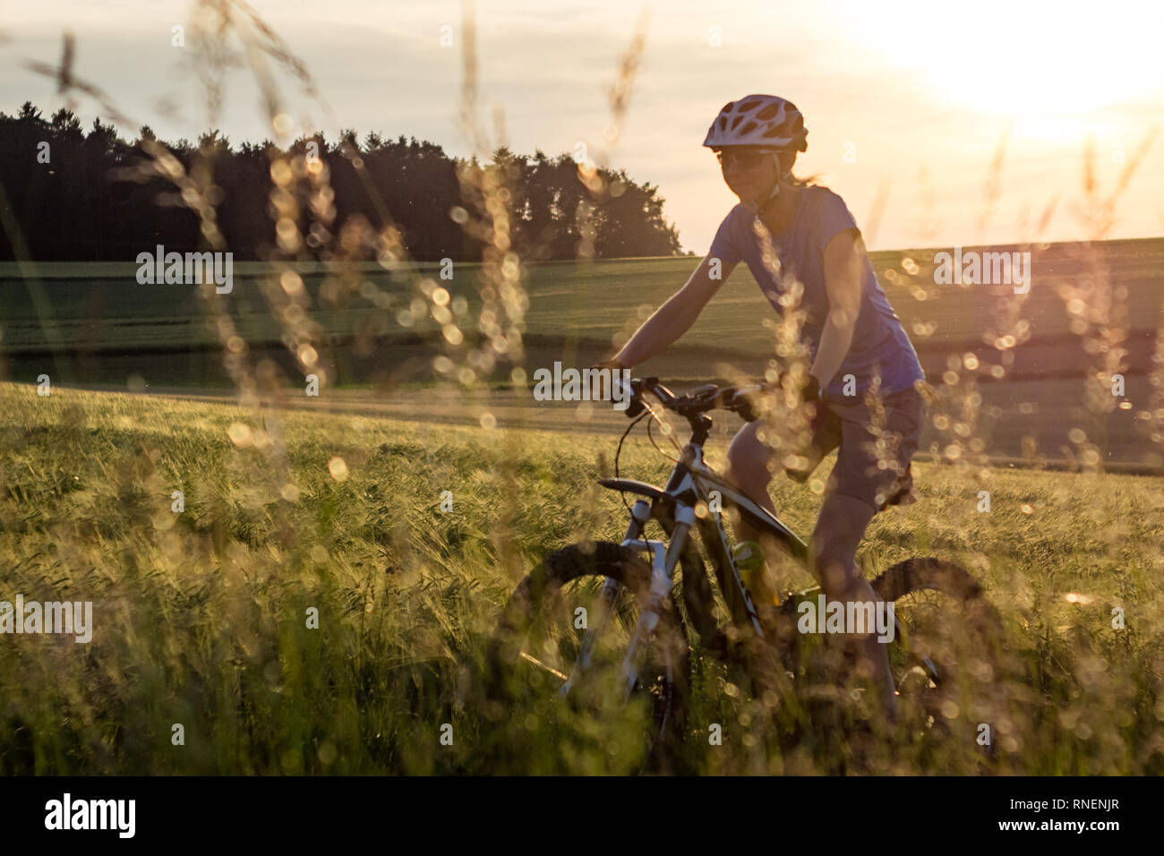 Mountainbikerin in der Abendsonne, MTB, Biken Stock Photo