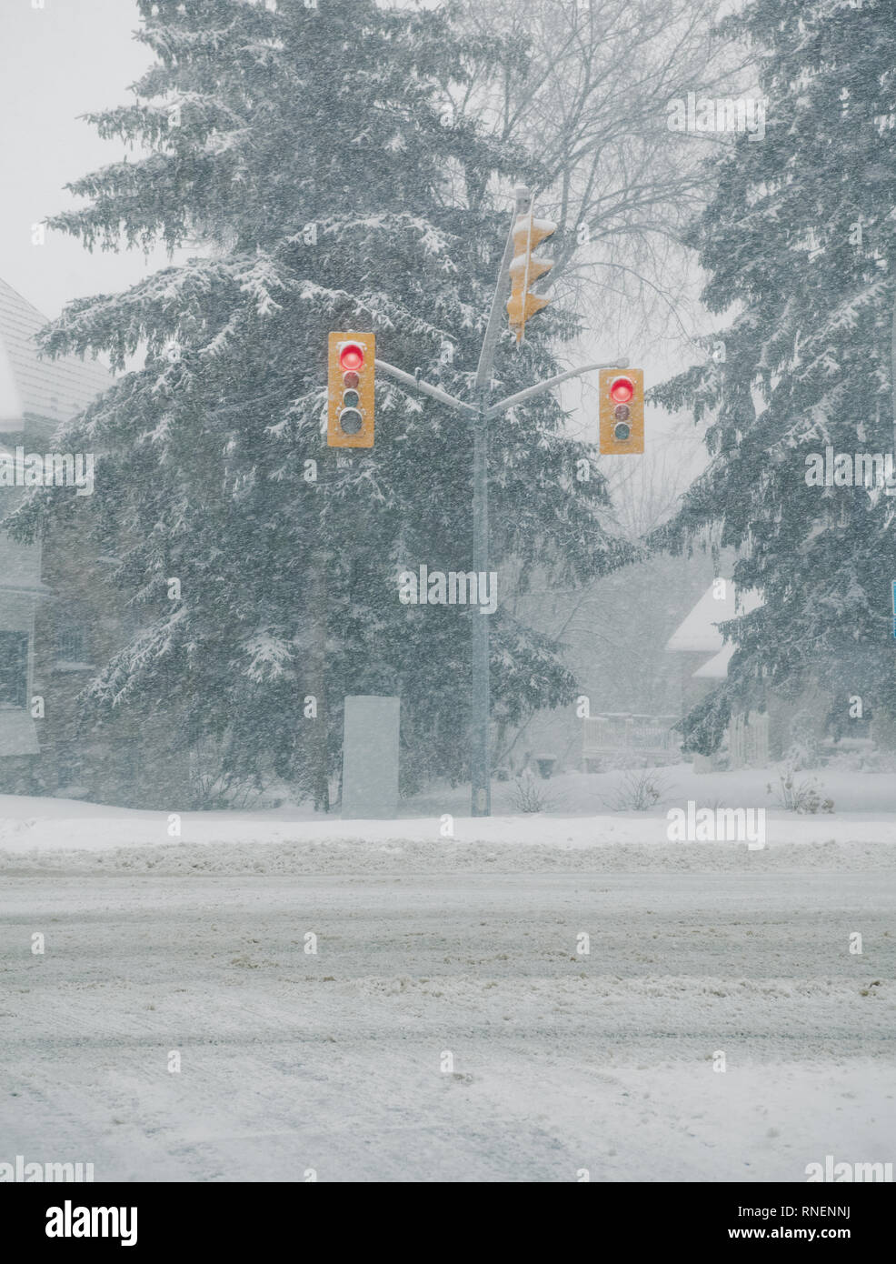 Somewhere in the city, the traffic lights have turned red but there is no traffic because of bad weather during winter. Stratford, Ontario. Stock Photo