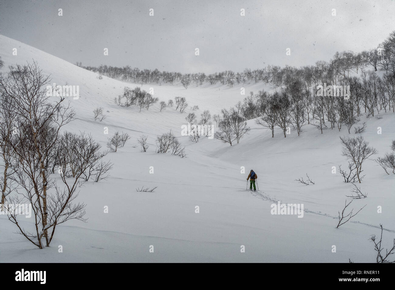 A man ski touring near the town of Niseko on Japan’s northern Hokkaido Island. Stock Photo